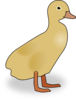 Yellow Duckling Clip Art
